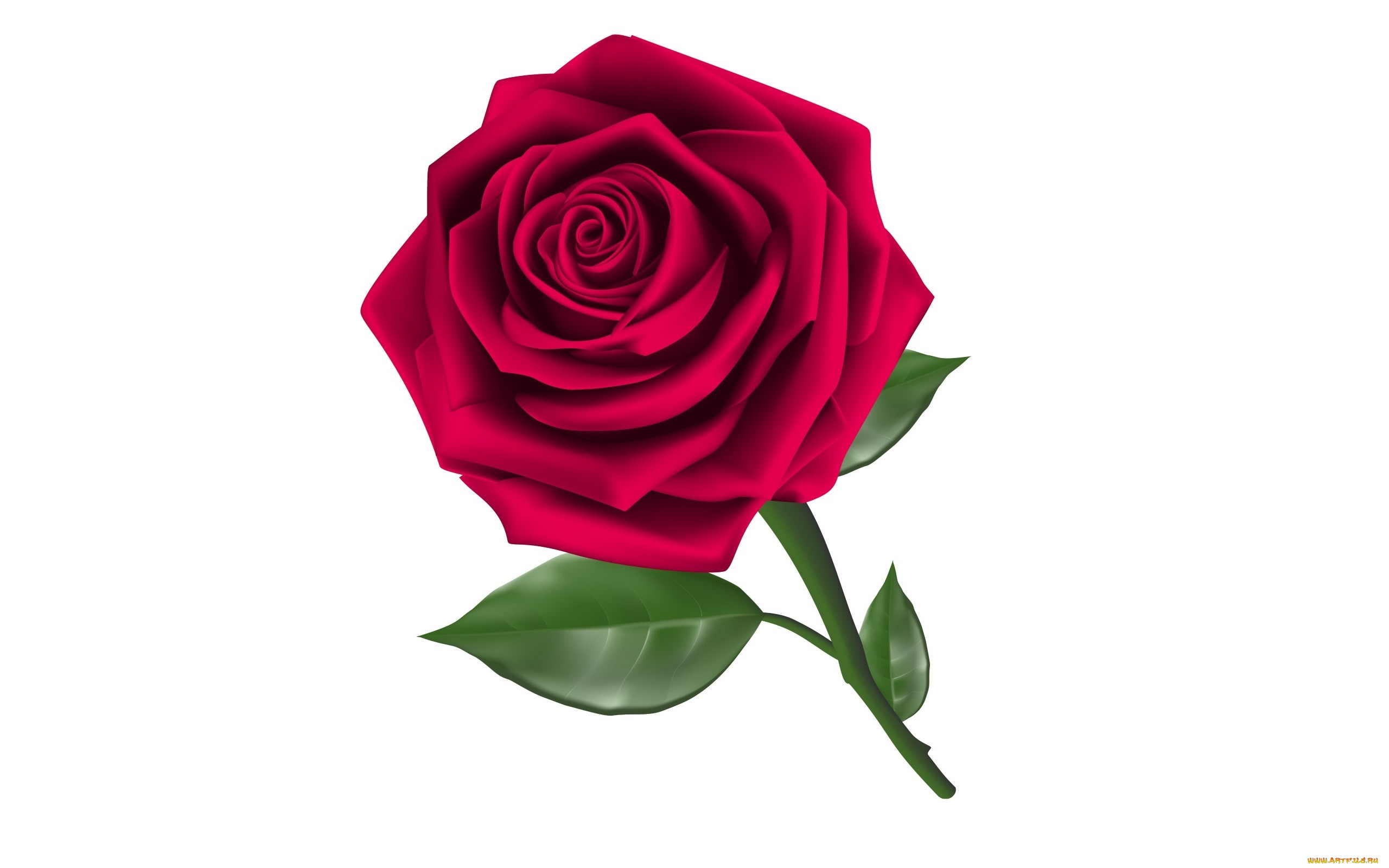 ,  , flowers, , , 